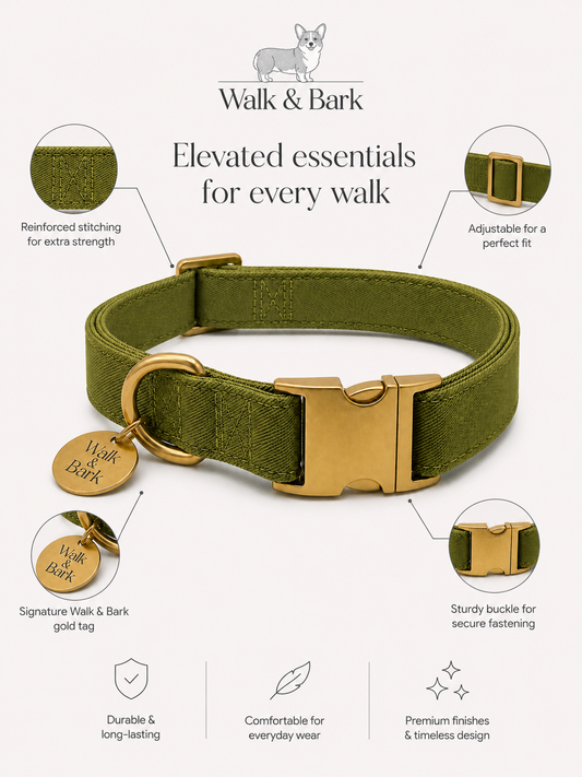 Olive Green Signature Collar