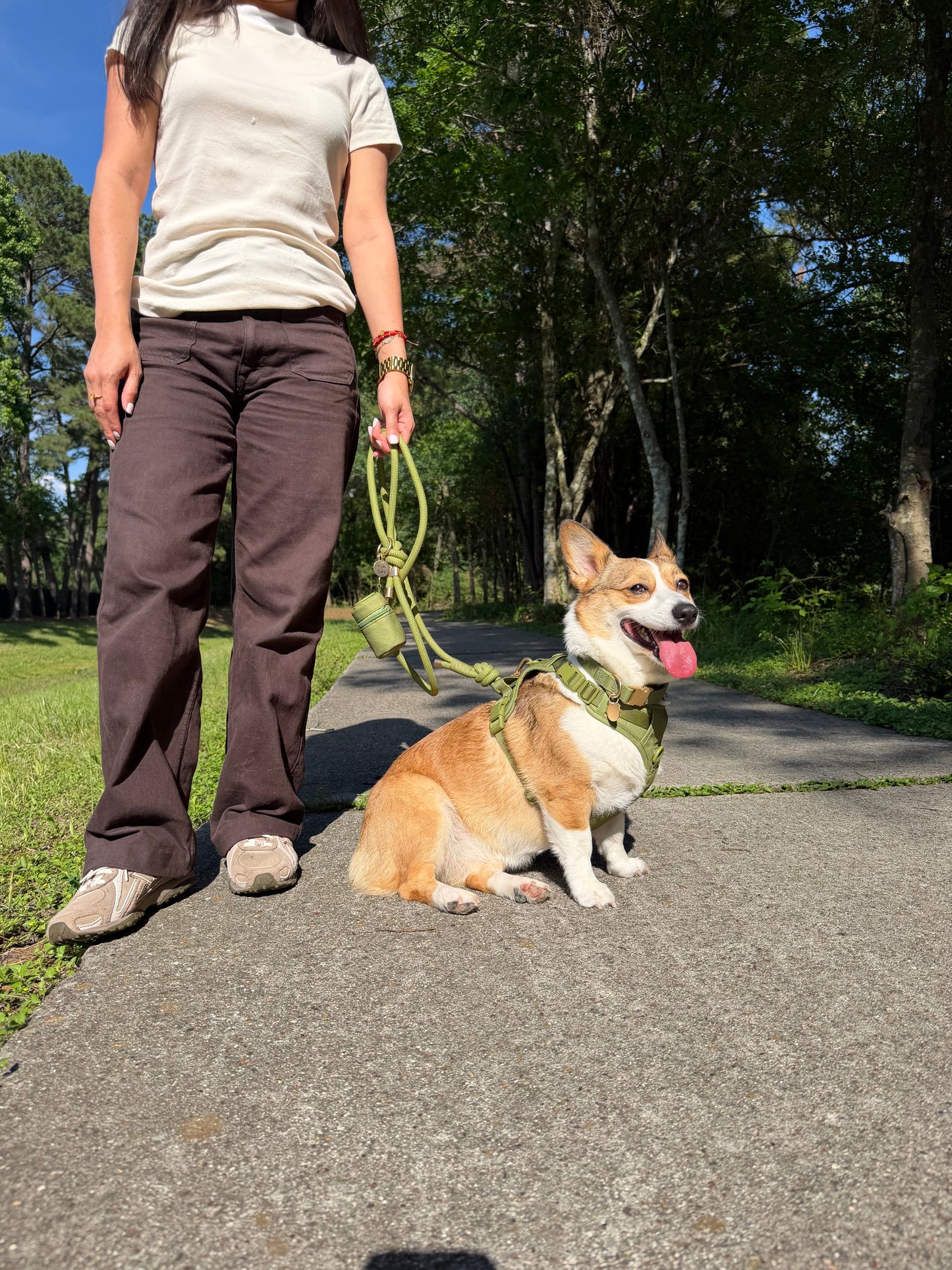 Olive Green Signature Leash