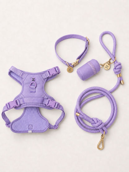 Soft Lilac Signature Complete Set