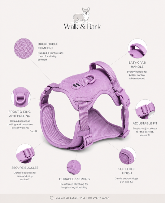 Soft Lilac Signature Harness