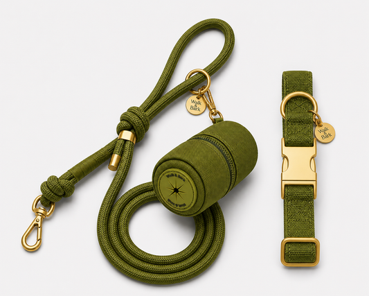 Olive Green Signature Set Collar