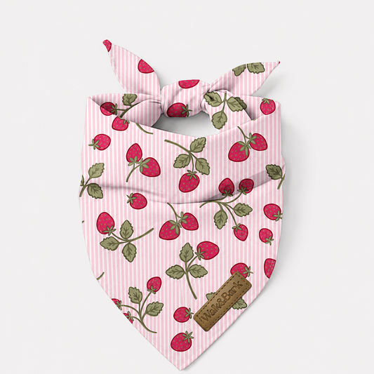 Berry Brunch Dog Bandana
