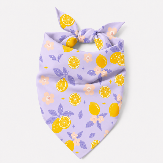 Zesty Bloom Dog Bandana