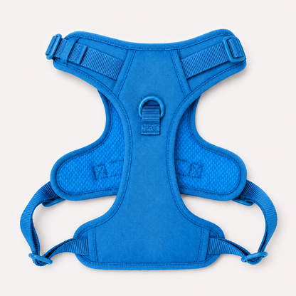 Coastal Blue Signature Harness