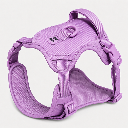 Soft Lilac Signature Harness