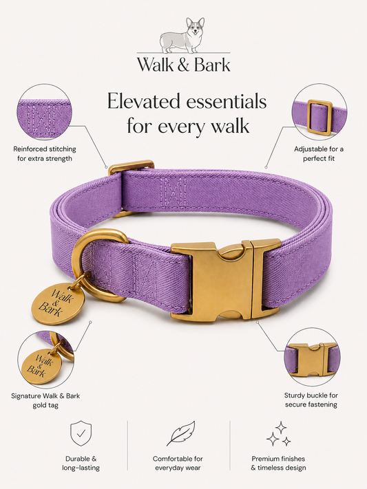 Soft Lilac Signature Collar