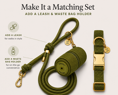 Olive Green Signature Collar