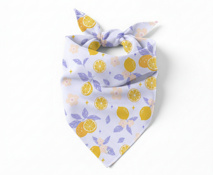Zesty Bloom Dog Bandana