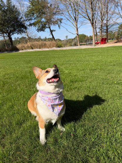 Zesty Bloom Dog Bandana