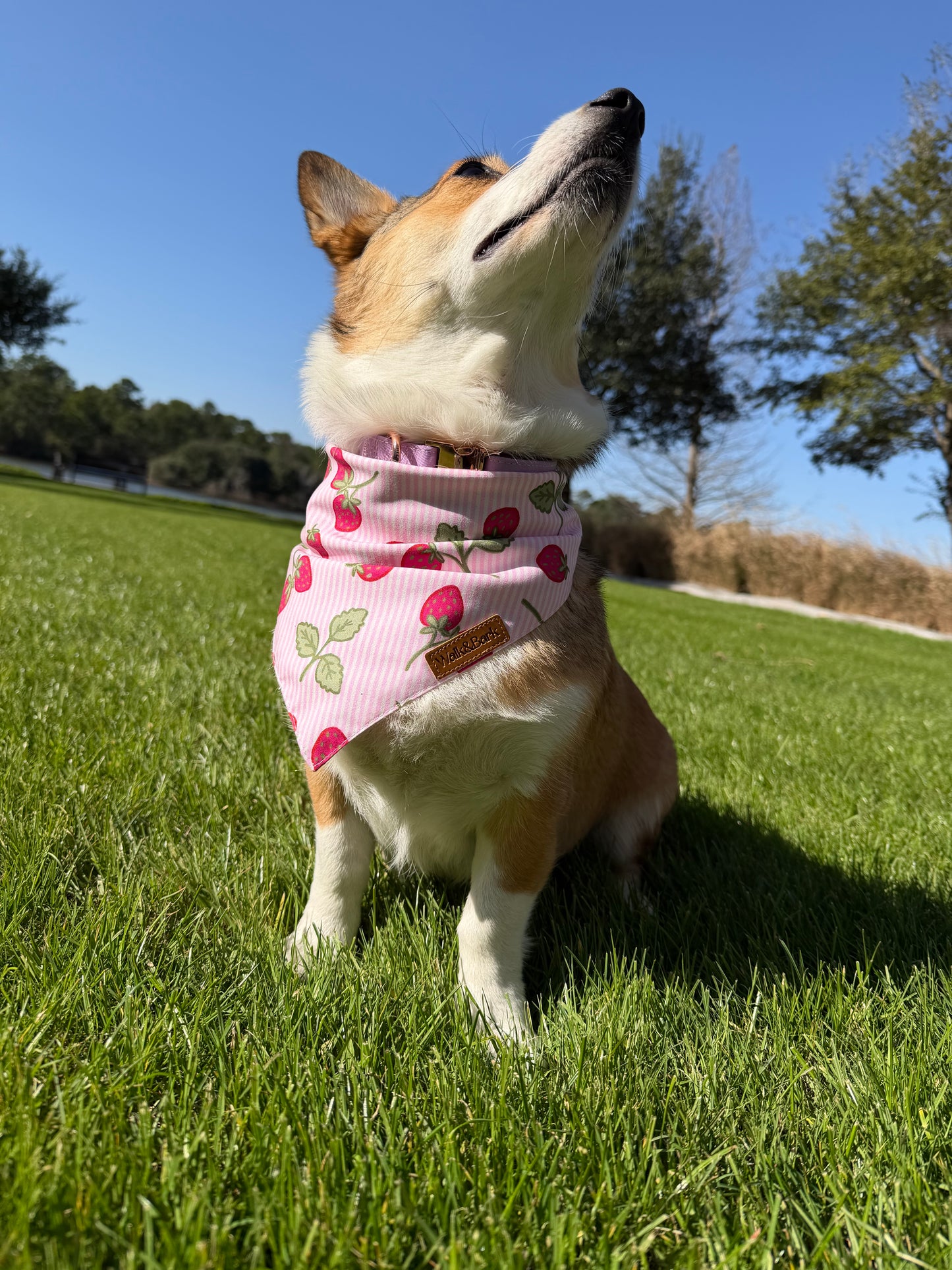 Berry Brunch Dog Bandana