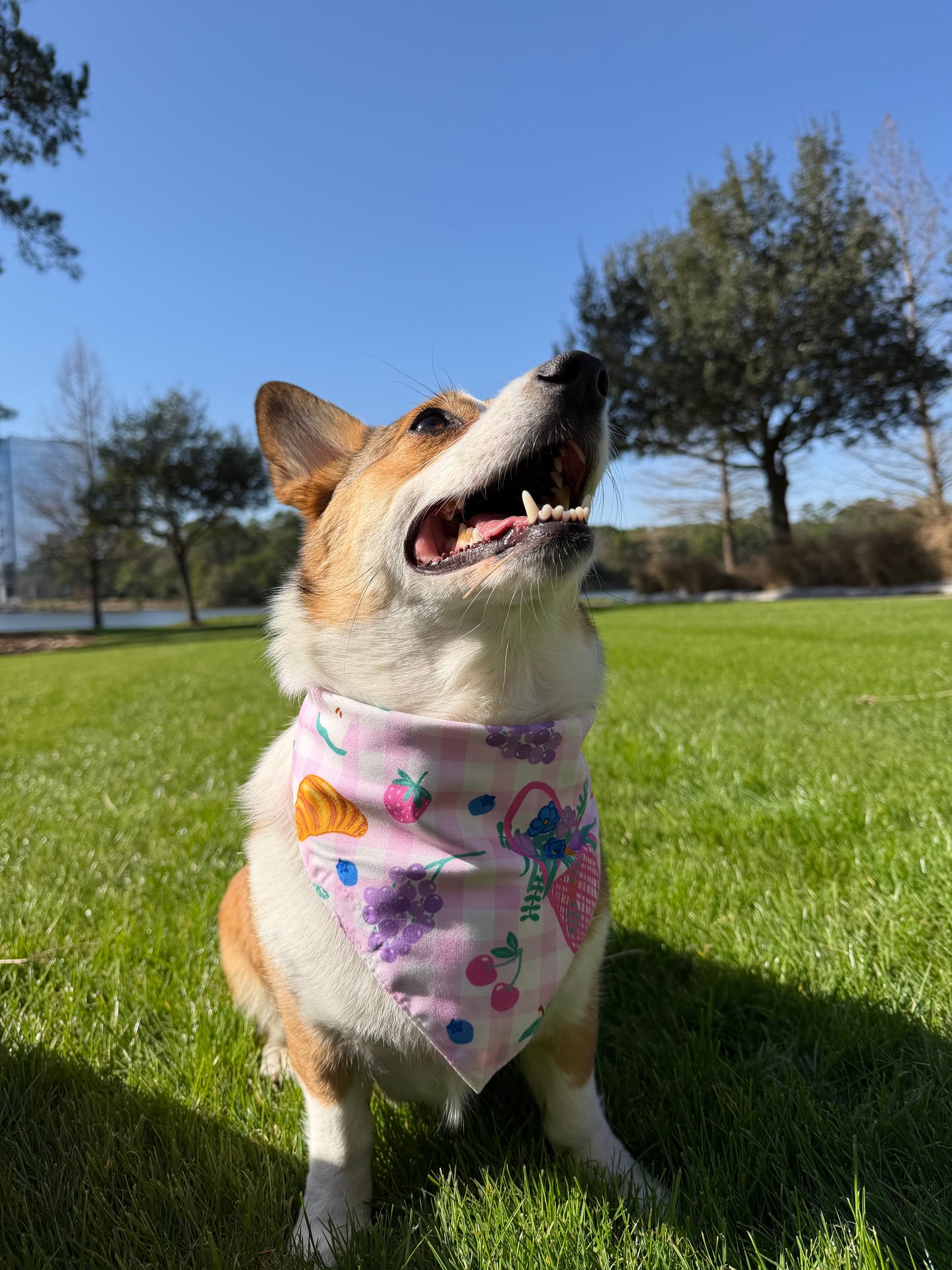 Berry Brunch Dog Bandana