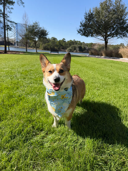 Blue Buzz Dog Bandana