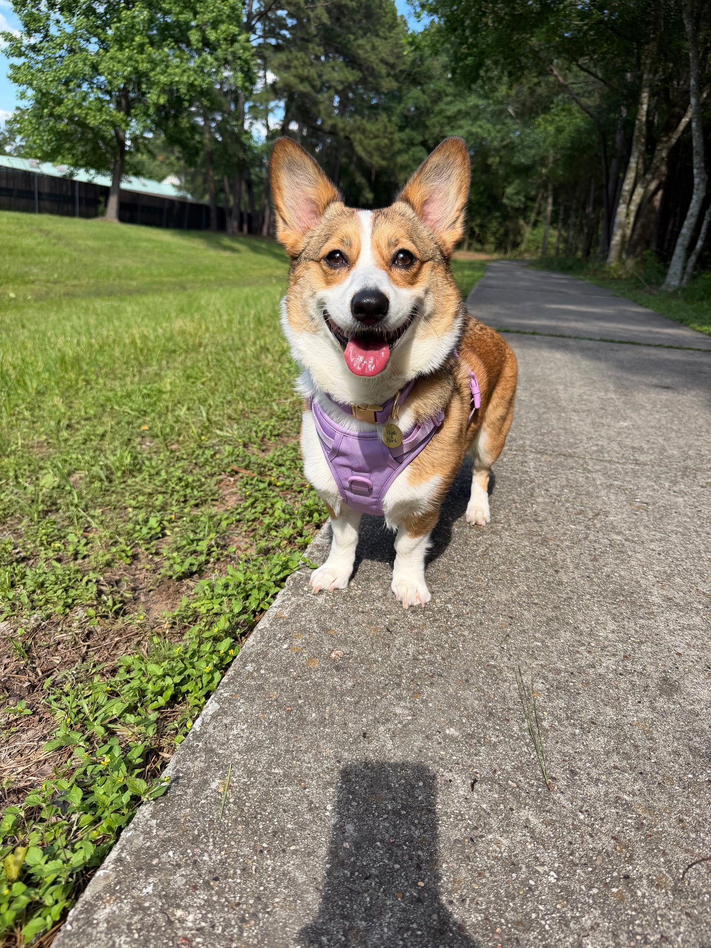 Soft Lilac Signature Harness