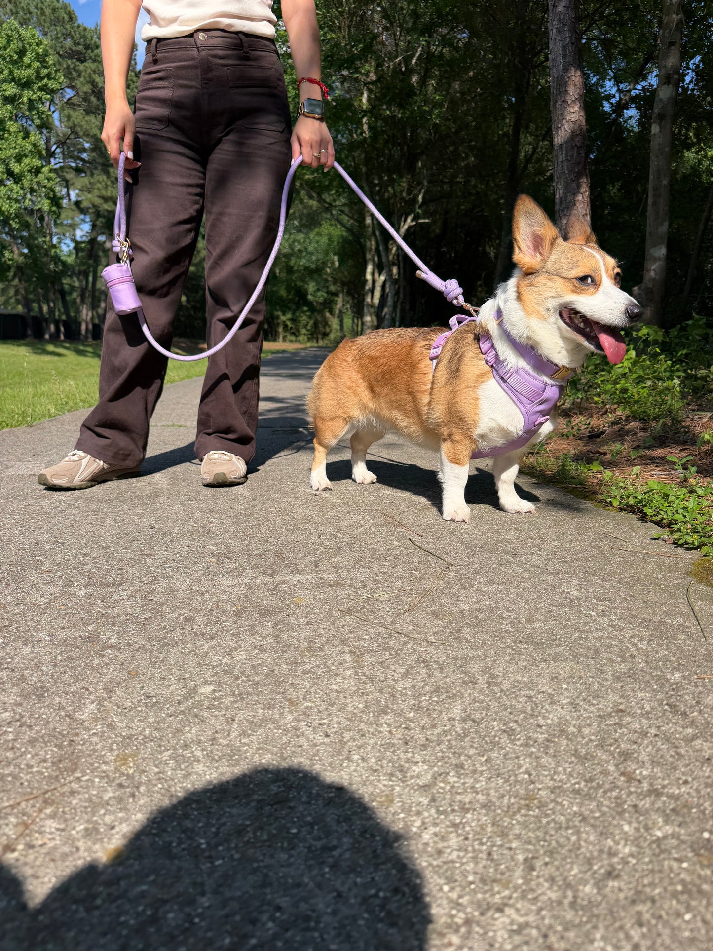 Soft Lilac Signature Harness