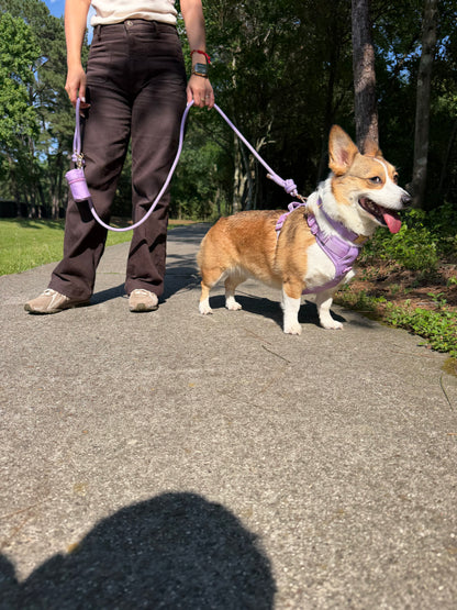 Soft Lilac Signature Harness