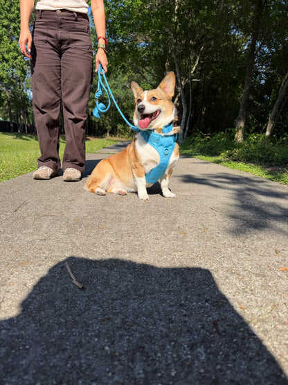 Coastal Blue Signature Leash