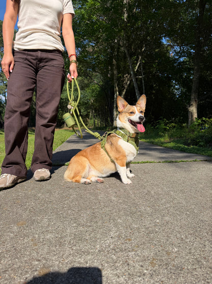 Olive Green Signature Harness